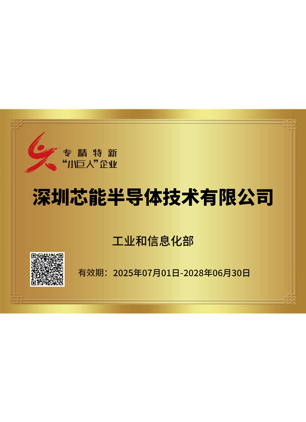 重点小巨人证书